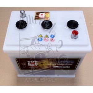 Batterie blanche livrée sans acide. 6V-140A 