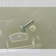 Vis de fixation de sabot d'aile Robri Traction 11 et 15cv